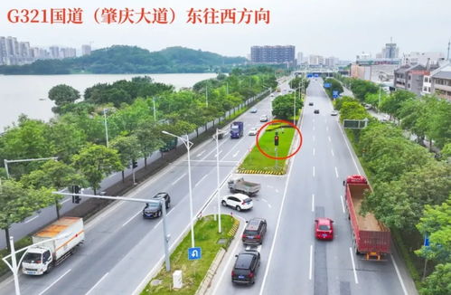 增設交通設施 老舊小區改造 肇慶這些民生實事,與你息息相關