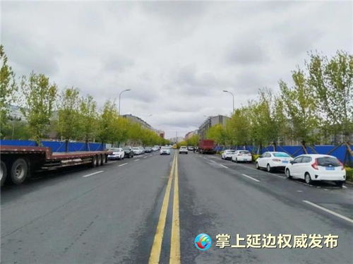 綠美延吉 行動 多家企業(yè)助力 重點打造10條精品綠化主街路