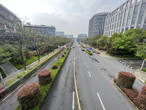 閔行區(qū)新增8條精品道路，累計創(chuàng)建33條，道路設(shè)施全面升級